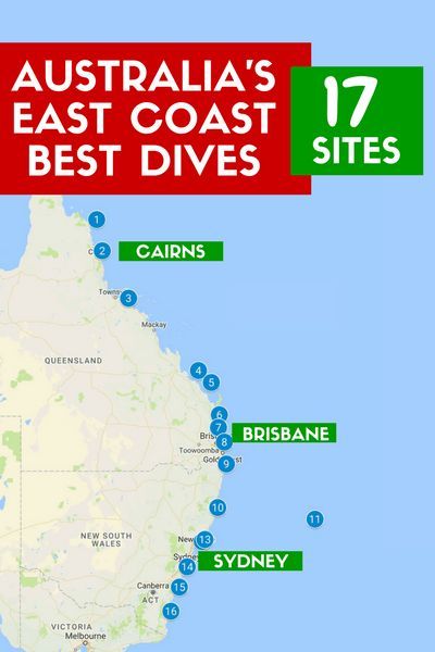 The Best Dive Sites On Australia’s East Coast (Cairns/Brisbane/Sydney) Diving Australia, Australian Adventures, Scuba Diving Australia, Australia Bucket List, Australia Trip, Australia Itinerary, Best Scuba Diving, Australia Travel Guide, Australian Travel