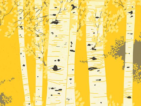 Tree Tattoo Drawings, Aspen Trees Tattoo, Birch Tree Tattoos, Aspen Trees Painting, Tree Drawing Simple, Quaking Aspen, Leaf Coloring Page, Aspen Art, Forest Drawing