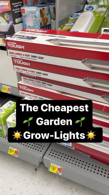 Gary Pilarchik (TRG) on Instagram: "*CORRECTION 8$ a YEAR! People asked what lights work… I’ve been using lights like this for 10 years. The white LEDs are for growing garden transplants that will be put outside. You can spend more money on fancier systems but you don’t need to, for basic garden transplants. This is all you need… 🌱 5000 Lumens or higher. 5000 Kelvin or higher. 2 strips of while LEDs per light. Make sure it has a wall plug. ☀️ Follow me in 2023 and I’ll show you how to grow and Houseplant Grow Light Ideas, Inexpensive Grow Lights, Diy Grow Light Shelf, Indoor Herb Garden Setup, Grow Room Ideas Indoor, Grow Light Set Up, Indoor Grow Light Ideas, Grow Light Ideas, Grow Lights For Houseplants