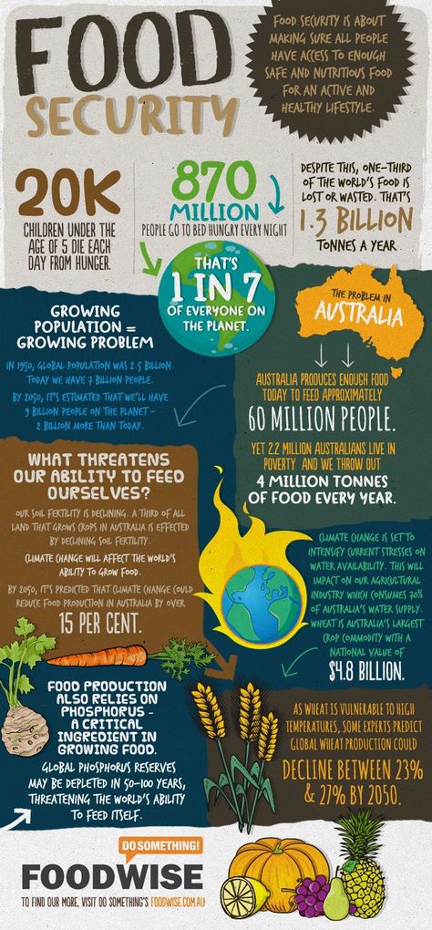 Food Security | FOODWISE - Educational resources for teaching about food sustainability Food Security Infographic, Food Insecurity Infographic, Food Security Poster, Food Sustainability, Food Engineering, Global Studies, Food Justice, Aussie Food, Food Tech