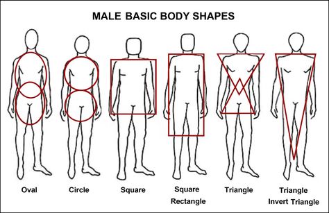 Male body shapes Male Body Shapes Drawing, Types Of People Chart, Male Body Types Drawing, Body Shapes Drawing, Body Types Men, Body Type Male, Body Types Male, Men Body Types, Body Types Chart