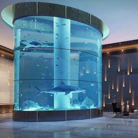 Monet Franklin’s Instagram photo: “Reposted from @housesplace Would you put a shark tank in your house? 🦈 . Follow 👉 @housesplace for more amazing home content! DM for…” Aquarium Architecture, Amazing Aquariums, Minimalist Garden, Home Aquarium, Aquarium Design, Water Walls, Tanked Aquariums, Secret Rooms, Aquarium Decorations