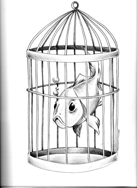 Fish Inside A Birdcage Art, Fish In A Birdcage Tattoo, Fish Inside A Birdcage, Bird Cage Drawing, Birdcage Drawing, Cage Drawing, Birdcage Tattoo, Stick Poke Tattoo, Cage Tattoos