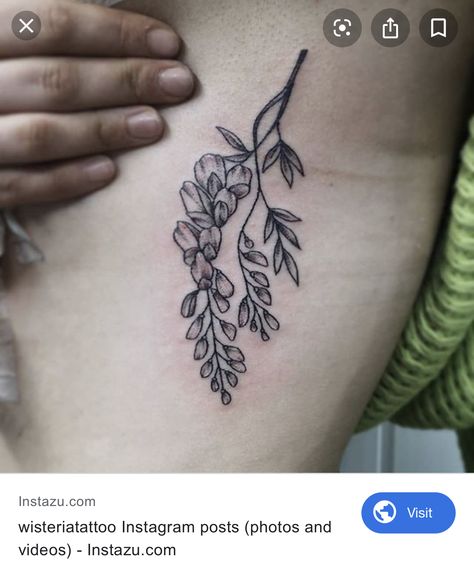 Smaller sized wisteria tattoo; underarm. Wisteria Branch Tattoo, Wisteria Tattoo Black, Wisteria Tattoo Black And White, Wisteria Drawing Simple, Wisteria Vine Tattoo, Wisteria Tattoo Design, The Lakes Tattoo, Wisteria Flower Tattoo, Tswift Tattoos