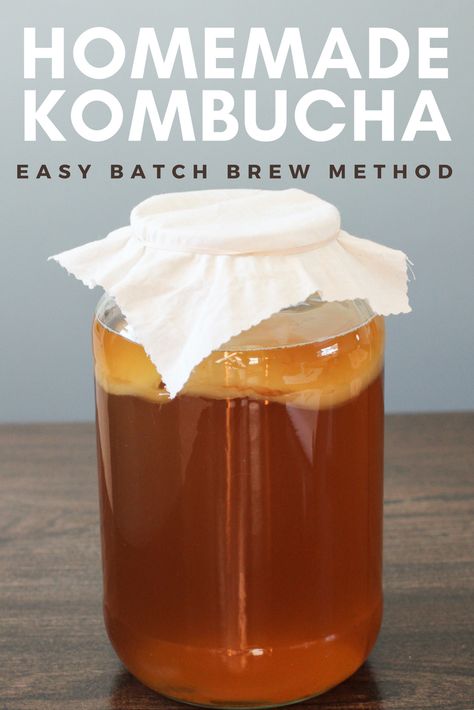 Make homemade kombucha using the batch brew method. Scoby Recipes, Brewing Kombucha, Cranberry Kombucha, Healing Drinks, Fermented Beverages, Kombucha Brewing, Make Kombucha, Kombucha Starter, Kombucha Scoby