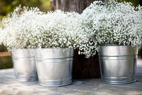 Tin+Buckets+of+Baby's+Breath Summer Party Centerpieces, Tin Buckets, Deco Champetre, Boda Mexicana, בר מצווה, Party Centerpieces, Baby's Breath, Trendy Wedding, Buckets