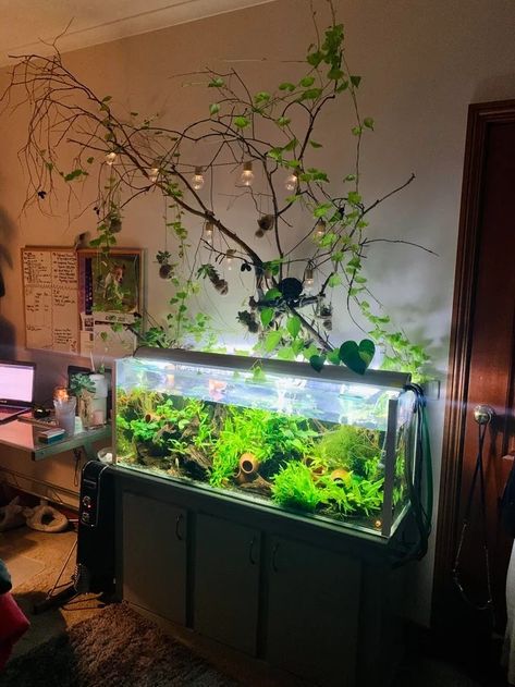 Black Sand Fish Tank Ideas, Axolotl Planted Tank, Heavily Planted Aquarium, Black Sand Aquarium, Planted Fish Tank, Cool Fish Tank Decorations, Biotope Aquarium, Fish Tank Themes, Fish Tank Terrarium