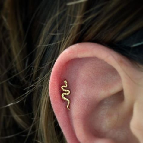 Snake Cartilage Earring, Snake Helix Piercing, Snake Piercing, Snake Bites, Helix Earrings, Snake Earrings, Ear Candy, Helix Piercing, Gold Snake