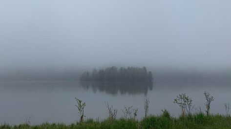 The Wendigo, Grassy Hill, The Trickster, Northern Ontario, Ontario Travel, Boreal Forest, Weeping Willow, Forest Fire, Dog Runs