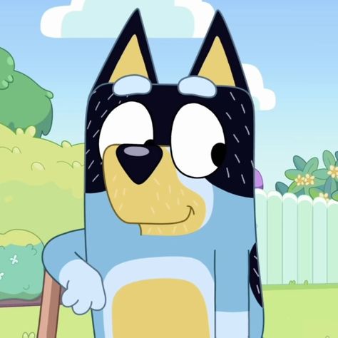 Dad From Bluey, Blueys Dad Bandit, Bluey Bandit Pfp, Bluey's Dad, Bandit Heeler Bluey, Bluey Pictures, Bandit Bluey, Bandit Heeler, Bluey Stuff