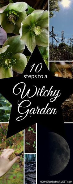 Rare Herbs To Grow, Witch’s Garden, Small Secret Garden Ideas, Witchy Garden Aesthetic, Magical Backyard, Creepy Crafts, Witches Garden, Magical Plants, Witch's Garden