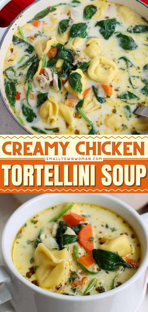 Chicken Tortellini Soup, creamy chicken tortellini soup, chicken tortellini soup recipe real simple Creamy Chicken Spinach Tortellini Soup Crockpot, Chicken Tortellini Soup Slow Cooker, Small Town Woman Tortellini Soup, Homemade Chicken Tortellini Soup, Tortellini Soup With Chicken Broth, Spinach And Cheese Tortellini Soup, Tortellini Chicken Soup Crockpot, Creamy Spinach And Tortellini Soup, One Pot Creamy Tortellini Soup