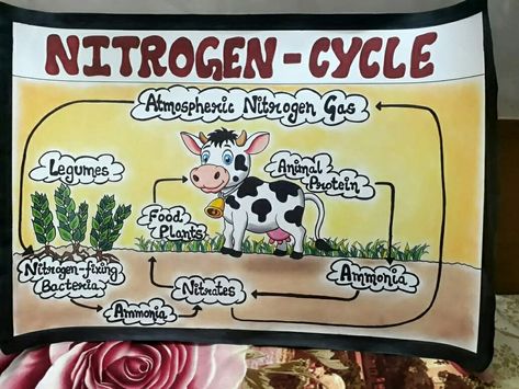 #nitrogencycle #drawing #pencilcolours #drypastels #colouring Nitrogen Cycle Drawing, Nitrogen Cycle Project, Cycle Chart, Nutrient Cycle, Cycle Drawing, Science Chart, Organization Notes, Nitrogen Cycle, Experiments Kids