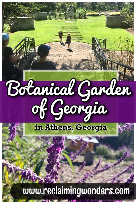 Details to plan a visit to the Botanical Garden in Athens, Georgia Gardening In Georgia, Tropical Conservatory, Georgia Road Trip, Kid Garden, Macon Georgia, Travel Georgia, Atlanta Botanical Garden, Nature Trails, Athens Georgia