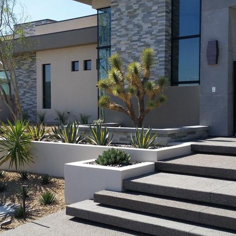 Photos | HGTV Garden Entrance Design, Las Vegas Landscape, Vegas Landscape, London Landscape, Low Water Landscaping, Landscape Gardening, Smooth Concrete, Garden Entrance, Outdoor Stairs