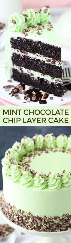 Mint Chocolate Chip Layer Cake Banquet Desserts, Mint Dessert, Food Gadgets, Mint Pie, Mint Desserts, Mint Chocolate Cake, Kek Lapis, Mint Cake, Coconut Dessert