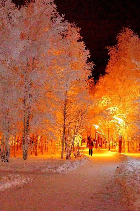 Winter Scenery, Winter Beauty, Snow Scenes, Winter Pictures, Winter Wonder, Alam Yang Indah, Winter Landscape, Winter Scenes, Amazing Nature