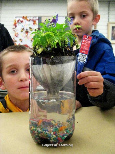 Make a Pop Bottle Ecosystem to show illustrate how the animals, plants, and non-living things in an environment all affect one another. Also includes a lesson on responsibility. Bottle Ecosystem, Ecosystem In A Bottle, Homeschool Units, Vetenskapliga Experiment, Green Recycling, Science Experience, Stem Ideas, Eco System, Frog Theme