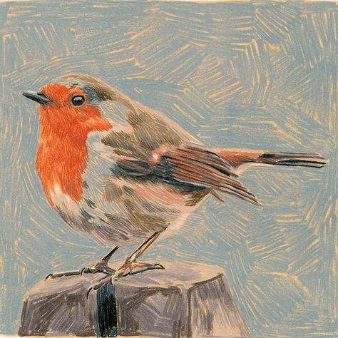 Jenny Granberry on Instagram: "This is the final art, color study and brainstorming sketch for one of my Bold Color Pencil lessons. We are not going to talk about the amount of time spent on the final piece and which of these 3 images I actually like the best." Colorful Bird Drawing, Bird Pastel Drawing, Bird Color Pencil Drawing, Colored Pencil Art Animals, Colored Pencil Animals, Pencil Color Sketches, Colouring Pencil Art, Draw Color Pencil, Bird Drawing Color