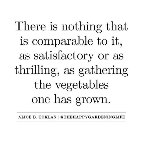 Quotes About Gardening, Harvest Quotes, Gardening Therapy, Used Outdoor Furniture, Kitchen Gardening, Gardening Quotes, Safe Playground, Playground Flooring, Luxury Garden Furniture