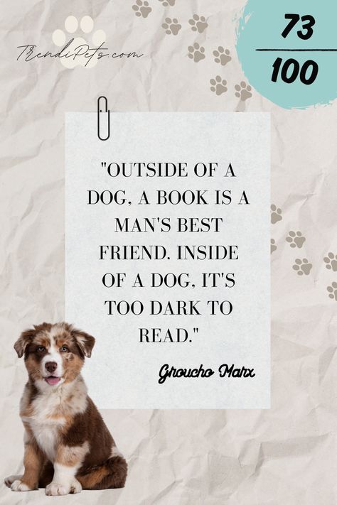 Pawsitively Inspiring: Dog Quotes to Brighten Your Day
Unleash a wave of positivity with our collection of heartwarming dog quotes! From the unconditional love of man's best friend to the joy they bring into our lives, these quotes celebrate the special bond between humans and dogs. Whether you're a dog owner or simply an animal lover, these quotes are sure to bring a smile to your face and warmth to your heart. Pin them to your board and share the love with your fellow dog enthusiasts! Quotes To Brighten Your Day, 100 Quotes, Groucho Marx, Heart Pin, Dog Owner, Animals Of The World, Dog Quotes, Share The Love, An Animal