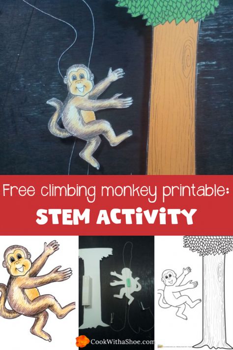 STEM is the future of our kids’ job openings. This means it’s up to us at KiddieCharts to offer free ways to complete STEM activities with your kids so that they’re prepared for the world of jobs that will be offered to them as adults. STEM activity: Free climbing monkey printable. #Science #Printable Monkey Activity For Preschool, Animal Stem Activities For Kids, Monkey Activities For Preschool, Jungle Preschool, Monkey Printable, Simple Machines Activities, Hibernating Animals, Jungle Vbs, Mammals Activities