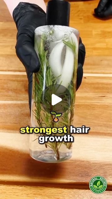 How To Get Thicker Hair, Hair Fertilizer, Hair Recipes, Get Thicker Hair, Rosemary Oil For Hair, Long Hair Tips, Hair Growing Tips, How To Grow Natural Hair, Hair Growing