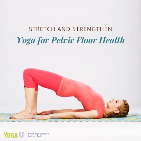 Pelvic Floor Health is a hot topic for most women. In this article yoga teacher and writer Erin Bourne shares stretching and strengthening yoga poses to improve your pelvic floor health. https://yogauonline.com/pose-library/stretch-and-strengthen-yoga-for-pelvic-floor-health/ #yogapose #yogastrong #pelvicfloor #yogateacher #yogaforwomen #womenshealth #yogaclass #onlineyoga #yinyogalife #yinyogalove #yoga101 #yinyogatraining #yogaandhealth #yogaarticle #yogaanytime #yogaasanas #yogaathome Pelvic Floor Stretches Yoga Poses, Yoga To Strengthen Pelvic Floor, Pelvic Floor Yoga Poses, Yoga Pelvic Floor Exercises, Yoga For Pelvic Floor For Women, Yoga Pelvic Floor, Yoga For Sexuality, Floor Yoga Poses, Yoga For Pelvic Floor