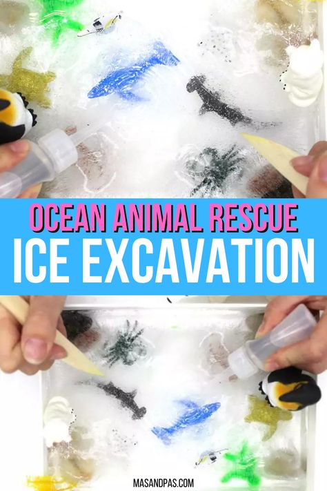 If you have a few plastic play animals laying around, freeze them in water for this easy ice animal rescue activity for kids! It's such a fun sensory play idea for toddlers and preschool students as they try to rescue the ocean animals from the ice, and it's also fun excavation project for older kids to figure out how to best break through the frozen pieces! #sensoryplay #icerescue #iceactivity #icesensoryplay Water Learning Activities For Kids, Preschool Ice Activities, Ice Play Preschool, Toddler Ice Activities, Ice Activities For Preschool, Ice Activities For Toddlers, Ice Rescue Activity, Ocean Animals Sensory Activities, Animal Ice Rescue Activity