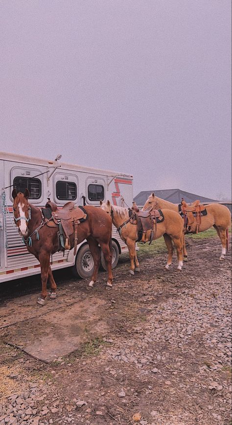 Ranch Astethic, Rodeo Wallpapers, Rodeo Asethic, Barrel Racing Wallpaper, Ranch Horses, Horse Trailer Aesthetic, Rodeo Lifestyle, Western Horse Wallpaper, Country Car Aesthetic