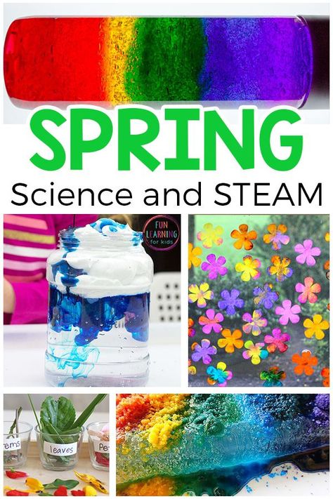 Spring Science Experiments, Spring Stem Activities, Spring Science Activities, Spring Learning Activities, Spring Science, Stem Activities For Kids, Elementary Stem Activities, Kids Worksheet, Preschool Stem