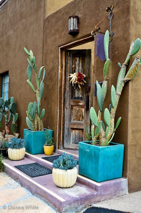 Project Flickr - Week13 - Barrio Door | I love the brown, pu… | Flickr Cactus Garden Landscaping, Turquoise Color Scheme, Downtown Tucson, Mexican Garden, Mexican Home, Southwest Decor, Hacienda Style, Cactus Garden, Desert Landscaping