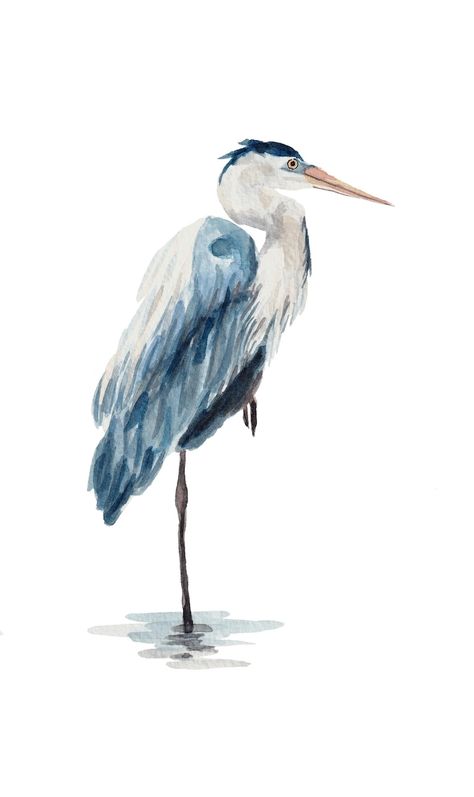 Great Blue Heron Bird Prints Coastal Art Audubon Watercolor - Etsy Blue Heron Bird, Heron Art Paintings, Egret Watercolor, Watercolor Blue Heron, Birds Print, Blue Heron Sketch, Birds Pattern, Ink Watercolor Art, Water Colour Birds