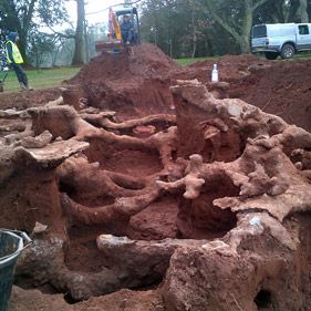 The Burrowers animals underground – a rabbit warren mapped in cement Rabbit Burrow, Rabbit Warren, Landmark Buildings, Summer Projects, Case Study, Cement, Mount Rushmore, Natural Landmarks, Travel