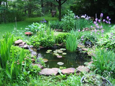 Pond Landscaping Ideas, Small Water Gardens, Landscaping With Fountains, Ponds For Small Gardens, Garden Landscaping Ideas, Garden Pond Design, Fountains Backyard, Pond Landscaping, Backyard Water Feature