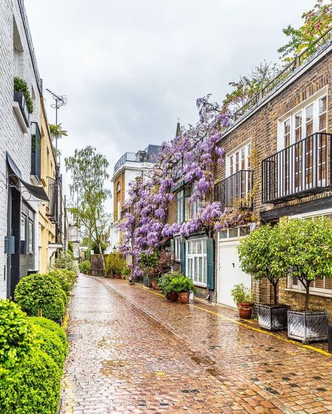 Kynance Mews is one of the prettiest streets in London, and the wisteria blooming on its facades in the spring is beautiful. #london #kensington #mews #wisteria #spring Wisteria House, House In London, London Dreams, Mews House, Toscana Italia, London House, London Places, Things To Do In London, London Town