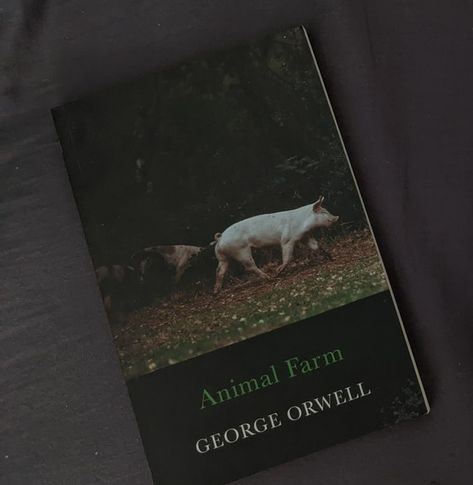 Just finished squealing my way through Animal Farm by George Orwell, and let me tell you, this is one barnyard fable with a severe bite. It was my first ever audiobook. I generally don’t prefer listening to audiobooks because, come on, my mind wanders off a lot. I zone out while listening to anyone or anything, serious attention issues (some people call it ADHD or something). At first, it’s a charming story of oppressed animals overthrowing their lazy human farmer, Mr. Jones. Visions of suga... Animal Farm Book, Napoleon Complex, Animal Farm George Orwell, Literature Teacher, Unread Books, Good Intentions, Animal Farm, George Orwell, Classic Literature