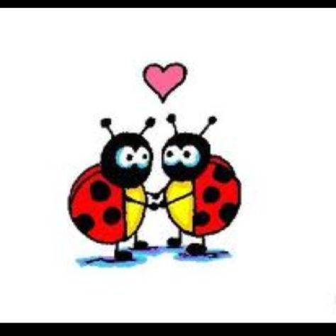 love bugs Halloween Imagem, Mia 3, Love Bugs, Love Pictures, Love Wallpaper, Funky Art, Images Gif, Artsy Fartsy, Loving U