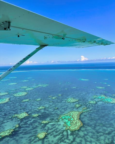 Whitsundays Dreaming 💭💙🐠🩵 Bucket list moment flying over the Great Barrier Reef 🥹✔️ Travel really never gets old 🌍 #travelgram #whitsundays #whitsundayislands #airliebeach #australia #fyp #foryou #greatbarrierreef Whitsundays Aesthetic, Great Barrier Reef Aesthetic, Australia Whitsundays, Gap Year Plan, Whitsundays Australia, Australia Aesthetic, Whitsunday Islands, Year Planning, Happy Aesthetic