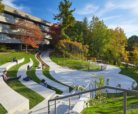 University of Toronto Scarborough Valley Land Trail « Landscape Architecture Platform | Landezine Campus Landscape Architecture, Campus Landscape Design, University Of Toronto Scarborough, Amphitheater Architecture, Landscape Architecture Park, Campus Landscape, Hotel Landscape, Landscape Architecture Plan, Landscape Design Drawings