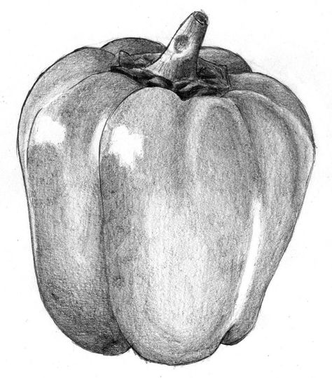 Get Great Stuff - Liron Yanconsky Still Life Pencil Shading, Sketch Shoes, Easy Pencil Drawings, Still Life Sketch, Vegetable Drawing, Shading Drawing, Life Sketch, Fruits Drawing, Observational Drawing