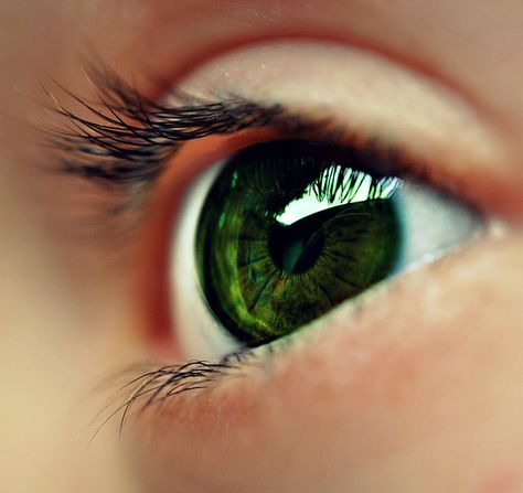 green eyes Rare Eye Colors, Rare Eyes, Beautiful Eyes Color, Emerald Eyes, Green Eye, Eye Photography, Aesthetic Eyes, Human Eye, Foto Art