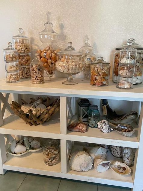 Seashell Collection Display Ideas, Shell Display Ideas Jars, Ways To Display Shells, Display Seashells Ideas, Shell Organization, Seaglass Display, Shell Display Ideas, Displaying Seashells, Shell Collection Display