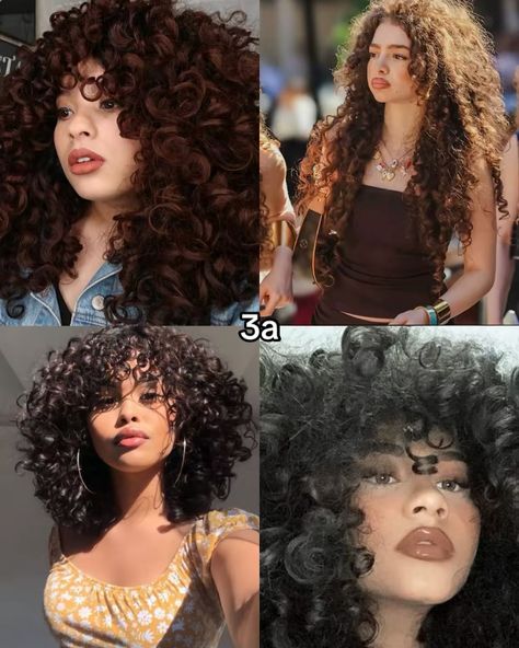 Whats your curly hair type? I seen so many people getting wrong how 3a/3b/3c look like so here you go this how they look like 🫶 #curlyhair #hair #cachos #cabelo #3a #3b #3c Thick 3b Hair, 3 B Curly Hair, 3a 3b Hair, Long 3a Curly Hair, 3a Curly Hair Styles, 5c Hair, 3b Short Hair, Long Big Curly Hair, Curly Hair 3b/3c