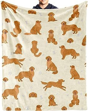 Golden Retriever Blanket Gifts, Dog Pattern Flannel Fleece Throw Blanket Soft, Lightweight, Comfortable, Warm Golden Retriever Themed Blanket for Humans Adults Kids Golden Retriever Nursery, Dog Apartment, Golden Accessories, Golden Retriever Gifts, Apartment Dogs, Dog Frames, Blanket Gifts, Nursery Theme, Dog Canvas