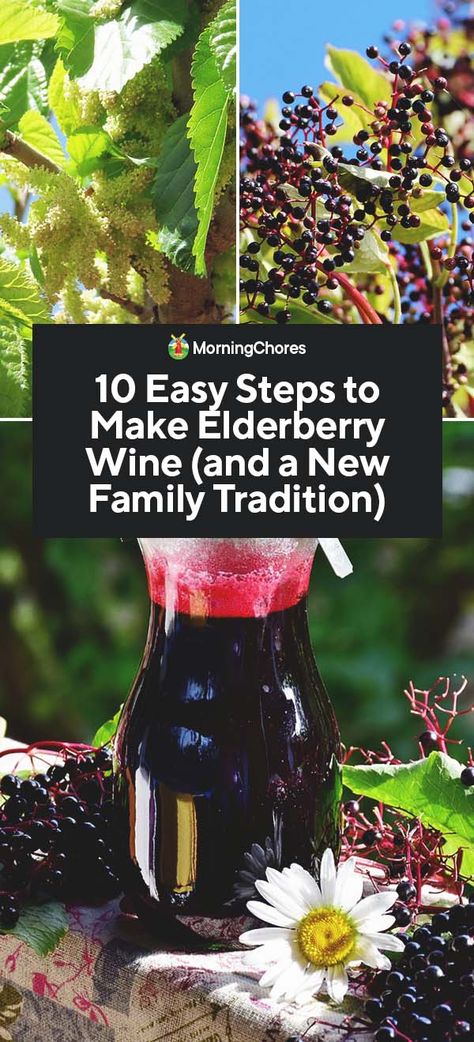 Homemade Wine Recipes, Elderberry Wine, Elderberry Bush, Elderberry Juice, Homemade Elderberry, Elderberry Recipes, Wine Names, Pinot Noir Wine, Wine Magazine