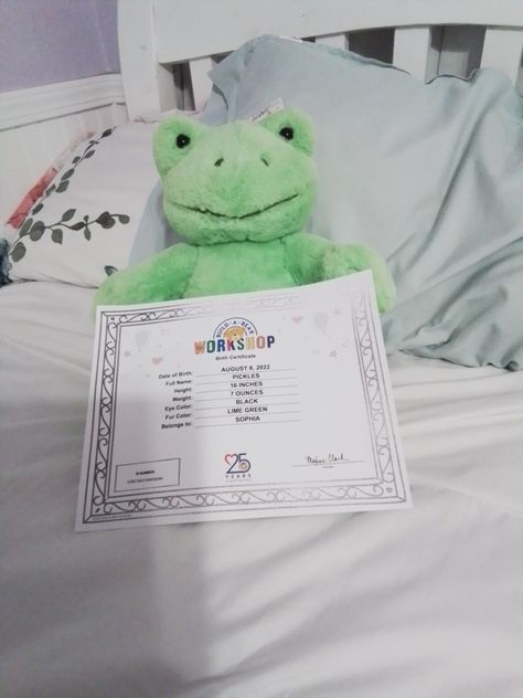 Build A Bear Names Ideas, Build A Bear Frog Names, Frog Room Ideas, Build A Bear Frog, Bear Names, Names Ideas, Cute Diy, Birth Certificate, Cute Frogs