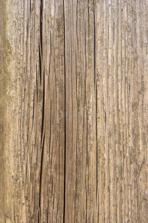 Fence from old weathered pine boards. Texture of natural aged wood. Woodworm holes, rusty nails. Creative vintage background royalty free stock images Rough Wood Texture, Southwind Authentic Plank Antique Pine, Natural Wooden Texture Seamless, Wood Plank Texture, Nails Creative, Old Wood Texture, Rusty Nails, Colorado Shirt, Rustic Wood Background