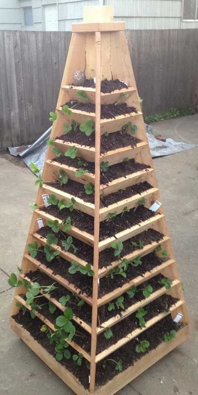 Garden Pyramid, Tower Garden Diy, Pyramid Planter, Raised Garden Bed Plans, Vertical Vegetable Garden, نباتات منزلية, Strawberry Garden, Vertical Garden Diy, Diy Raised Garden