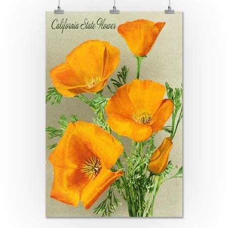 California State Flower - The Californian - Poppy Flowers - Lantern Press Artwork (24x36 Giclee Gallery Print, Wall Decor Travel Poster) California Poppy Art, Poppy Wall Art, California Poppies, Poppy Art, Poppy Flowers, Poppy Print, Art Print Display, Paintings Art, California Poppy